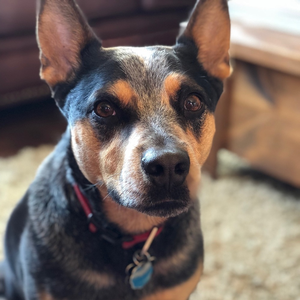 Meet your Posher, Becca